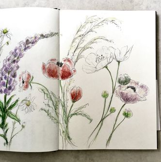 Poppies and lupines.