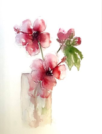 Hibiscus. Watercolour by June Rydgren