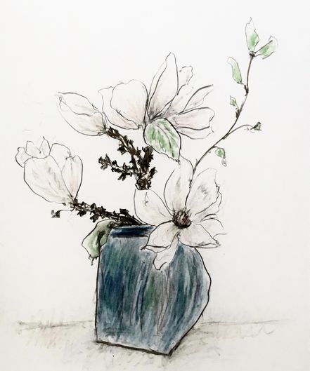 SPRING. Magnolia in a blue vase