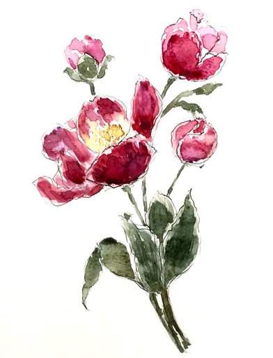 Peonies. Print after a wateracolour by June Rydgren